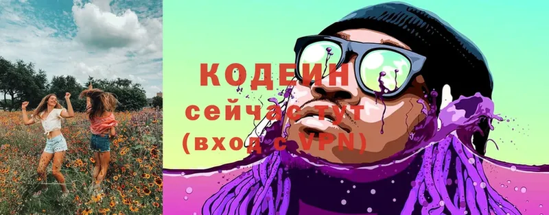 сколько стоит  Вилючинск  Кодеиновый сироп Lean Purple Drank 